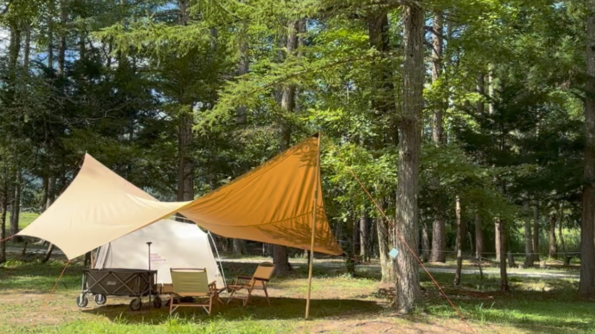 白馬グリーンスポーツの森キャンプ場のキャンプサイト